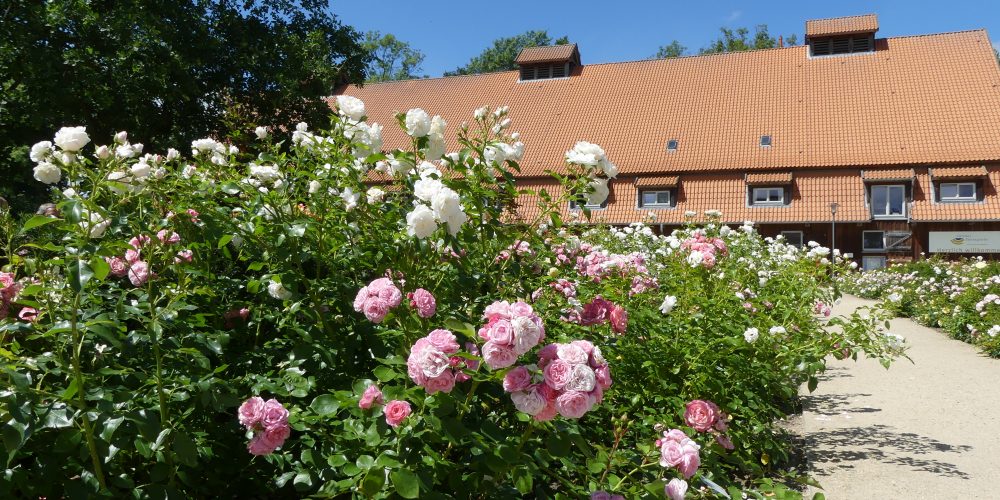 Landesgartenschau Eutin